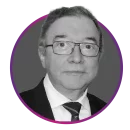 Foto de perfil Renato Fabbri